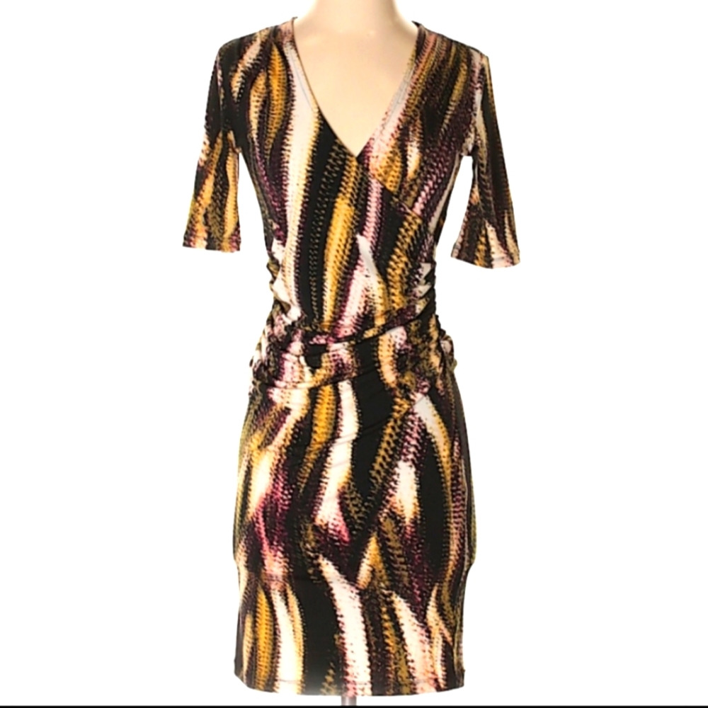 Jennifer Lopez Side Ruched Dress